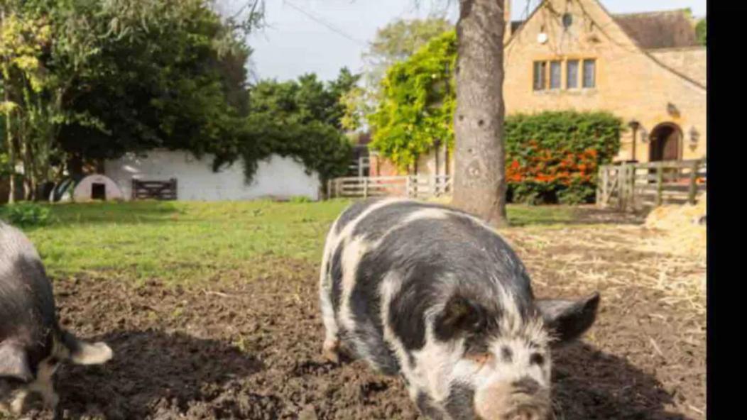 Piglet Cottage Pebworth Ngoại thất bức ảnh